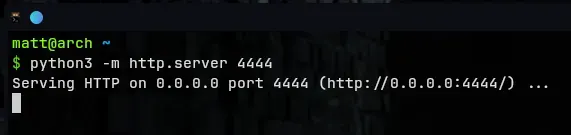 python server